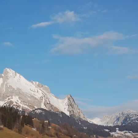 Han/Misafirhane Schaefli