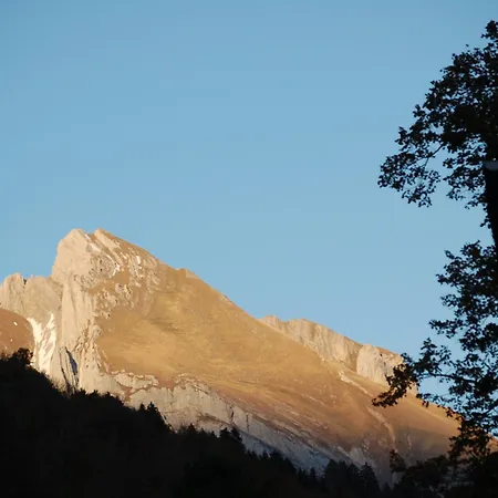 Schaefli Herberg 2*
