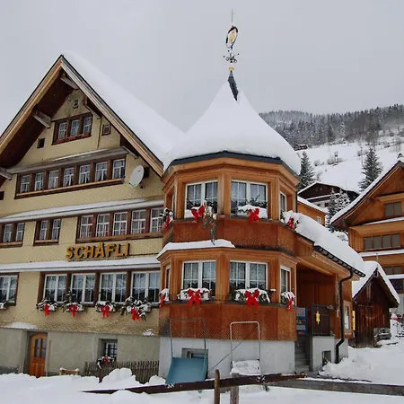 Schaefli Mini-hôtel 2*