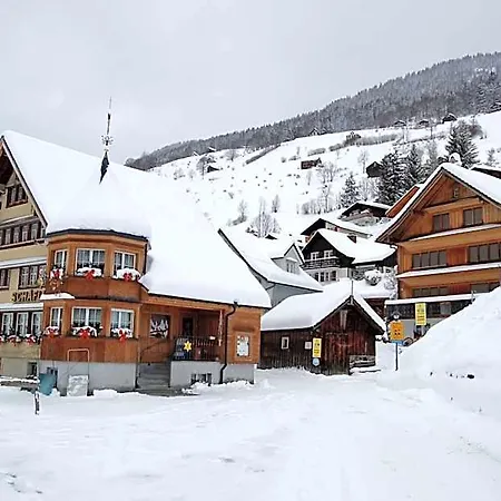 Mini-hôtel Schaefli 2*