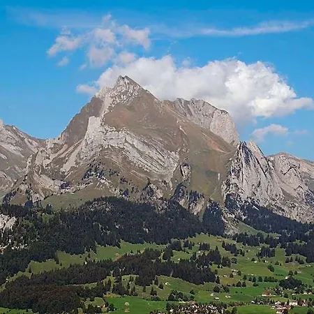 Schaefli 2*