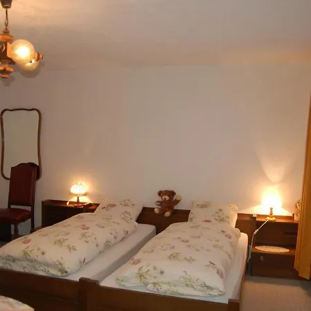 Schaefli Alt St. Johann