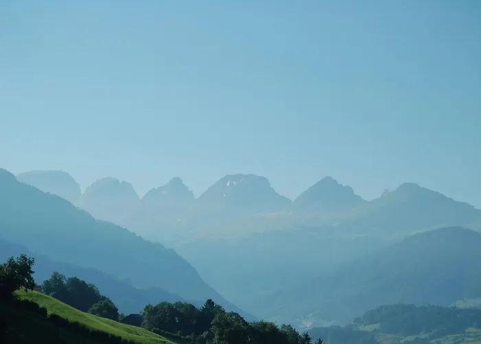 Schaefli Alt St. Johann