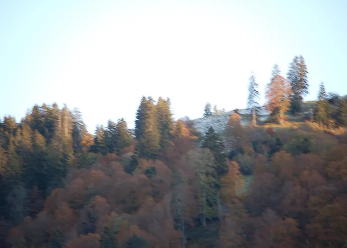 Schaefli 2* Alt St. Johann