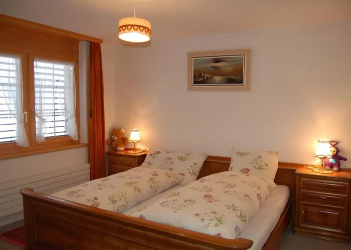 אורחן Schaefli 2*