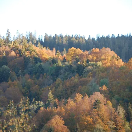 Schaefli 2*