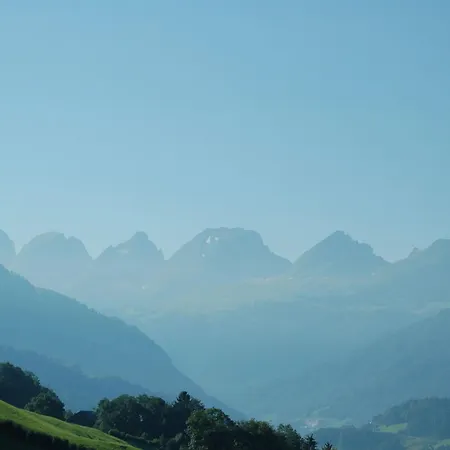 Schaefli Alt St. Johann