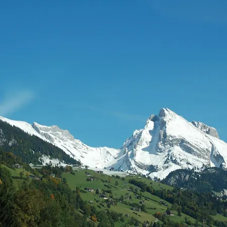Schaefli 2*