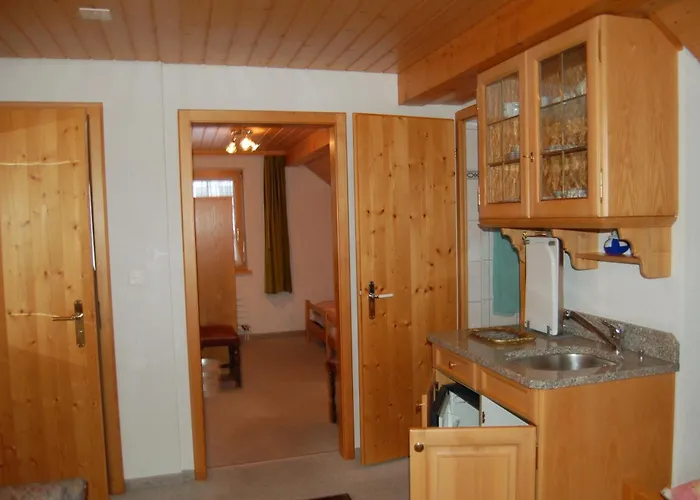 宾馆 斯卡弗利旅馆 2*