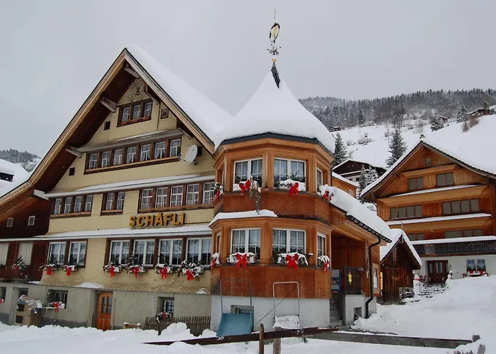Schäfli Gasthof 2*