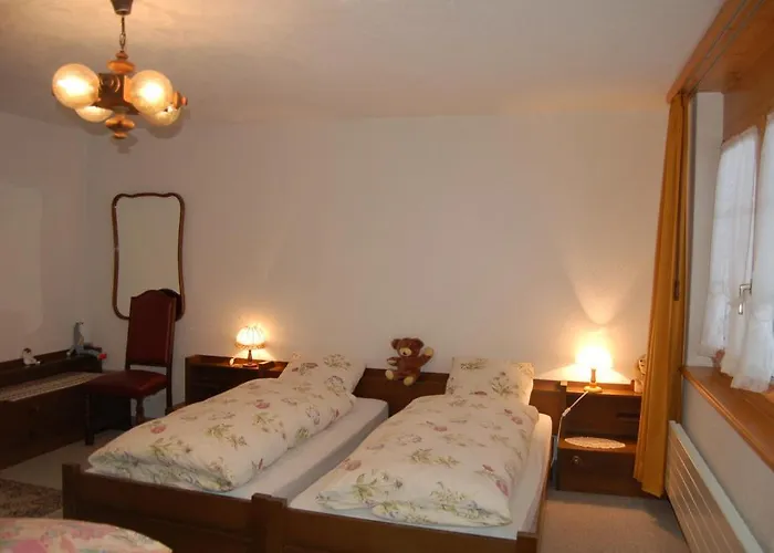 斯卡弗利旅馆 Alt St. Johann