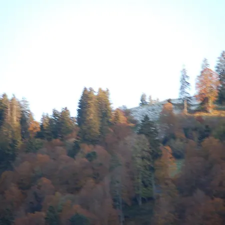 Schaefli 2* Alt St. Johann